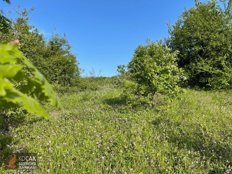 Muhteşem Doğa Ve Göl Manzarasıyla Göllüce Köyünde 3981m2 Arazi — fotoğraf 27