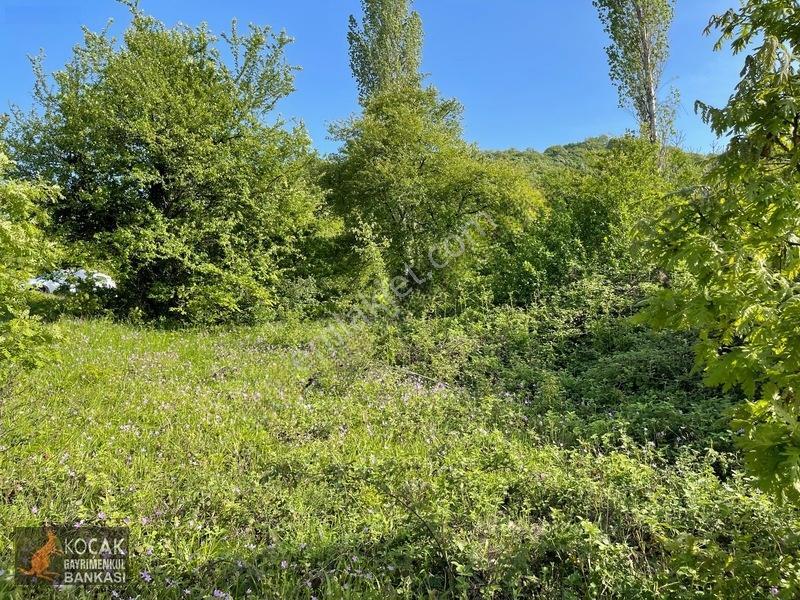 Muhteşem Doğa Ve Göl Manzarasıyla Göllüce Köyünde 3981m2 Arazi — fotoğraf 28
