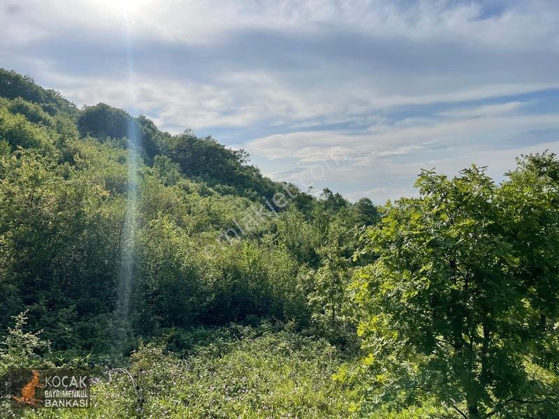 Muhteşem Doğa Ve Göl Manzarasıyla Göllüce Köyünde 3981m2 Arazi — fotoğraf 29