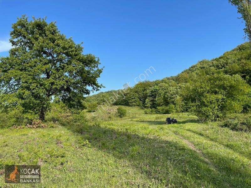 Muhteşem Doğa Ve Göl Manzarasıyla Göllüce Köyünde 3981m2 Arazi — fotoğraf 30