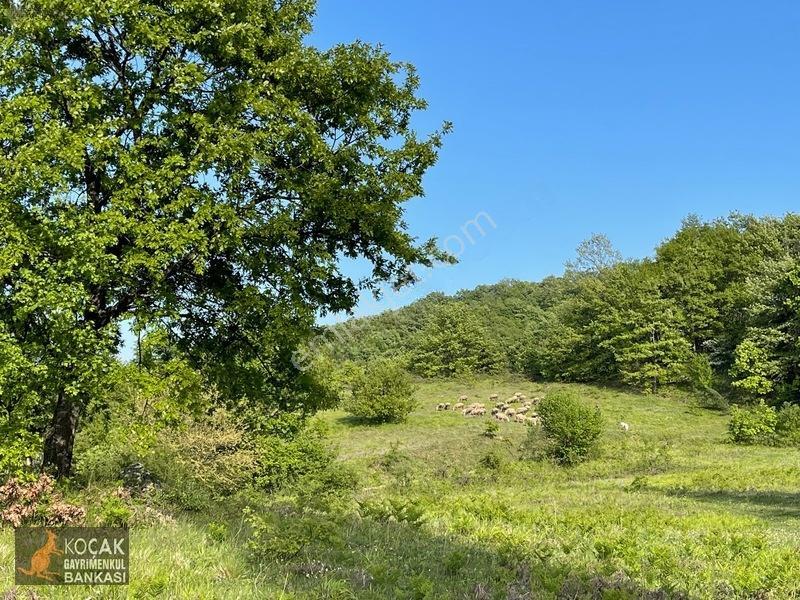 Muhteşem Doğa Ve Göl Manzarasıyla Göllüce Köyünde 3981m2 Arazi — fotoğraf 31