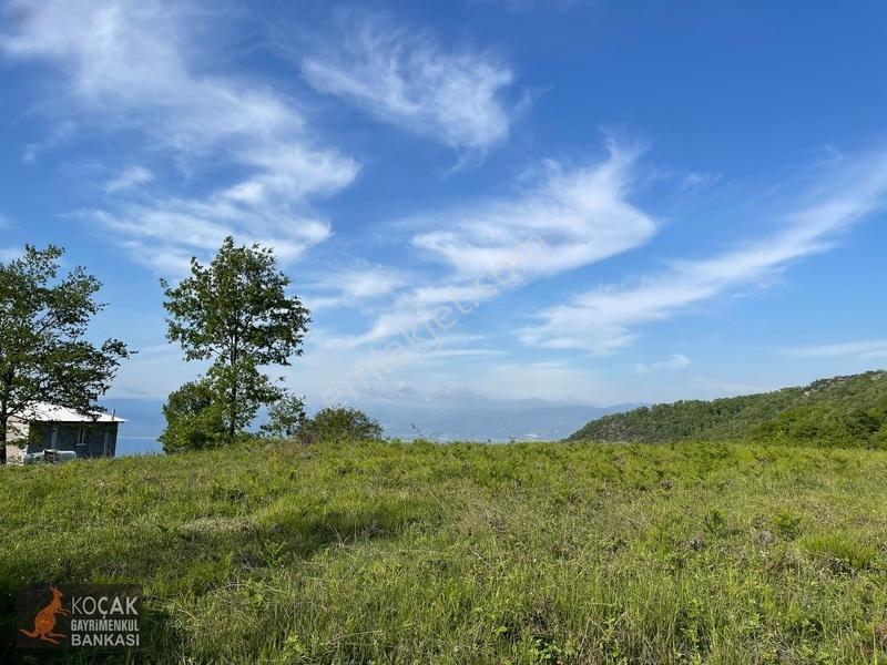 Muhteşem Doğa Ve Göl Manzarasıyla Göllüce Köyünde 3981m2 Arazi — fotoğraf 32