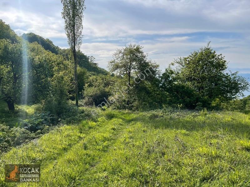 Muhteşem Doğa Ve Göl Manzarasıyla Göllüce Köyünde 3981m2 Arazi — fotoğraf 33