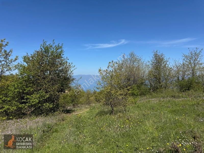 Muhteşem Doğa Ve Göl Manzarasıyla Göllüce Köyünde 3981m2 Arazi — fotoğraf 34