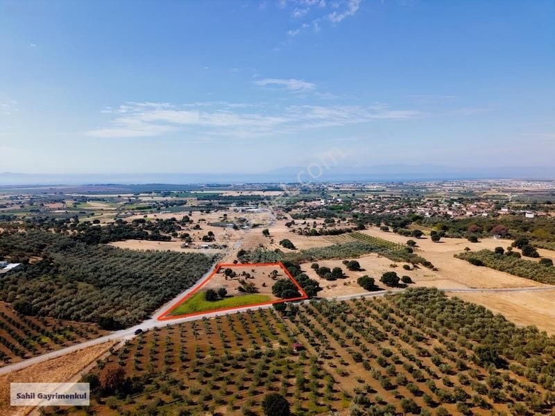 Dikili Kratlıda Full Deniz Manzaralı Tarla