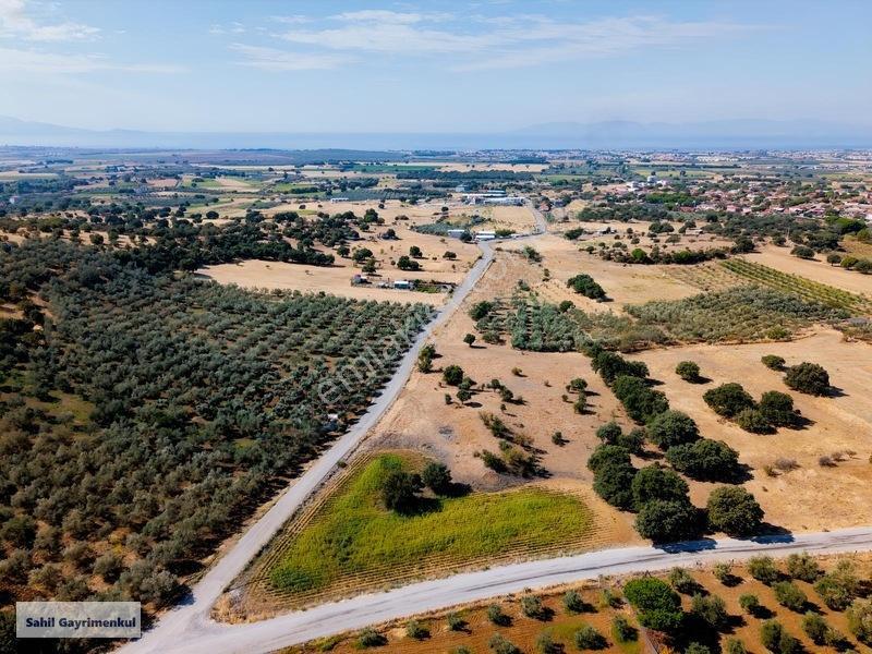 Dikili Kratlıda Full Deniz Manzaralı Tarla — fotoğraf 3