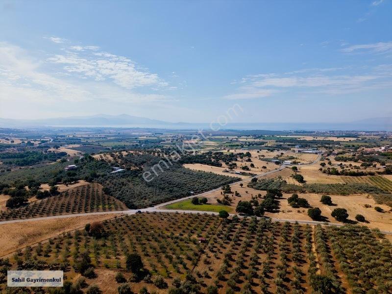 Dikili Kratlıda Full Deniz Manzaralı Tarla — fotoğraf 4