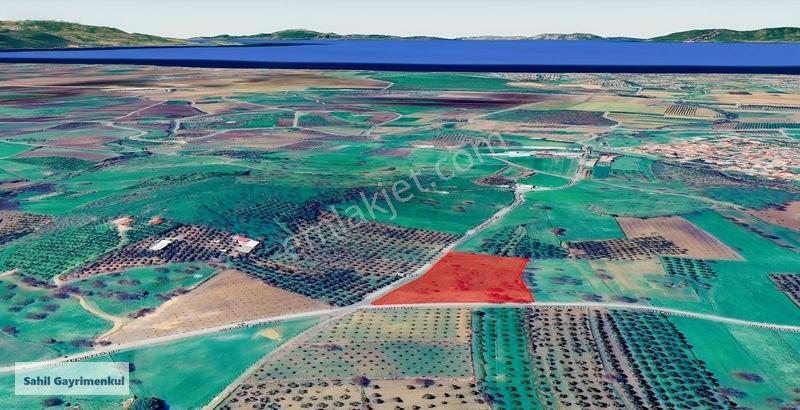 Dikili Kratlıda Full Deniz Manzaralı Tarla — fotoğraf 9