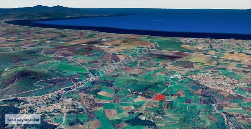 Dikili Kratlıda Full Deniz Manzaralı Tarla — fotoğraf 11