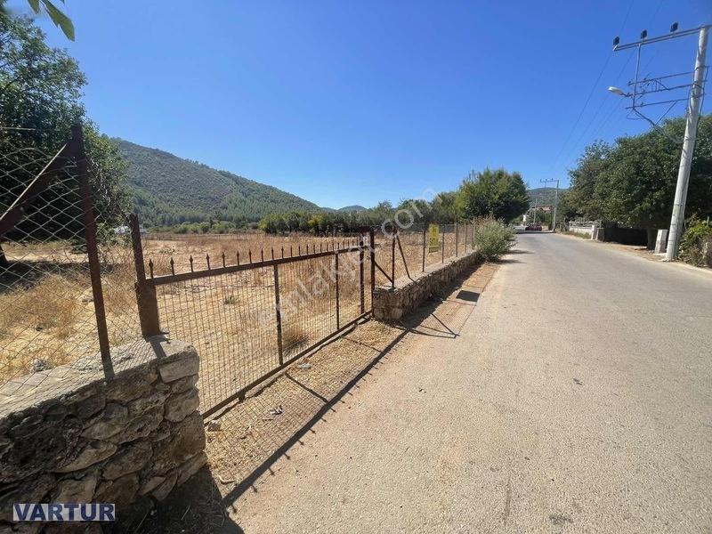 Yola Cepheli 4.606 Mt2 Satılık Arazi — fotoğraf 7