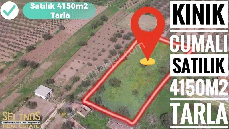 İmarlı 4800 M2 Çiftlik Arazisi — fotoğraf 3