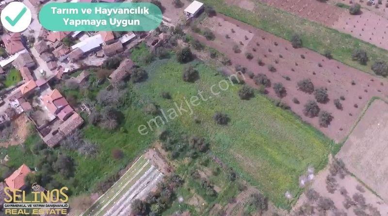 İmarlı 4800 M2 Çiftlik Arazisi — fotoğraf 6