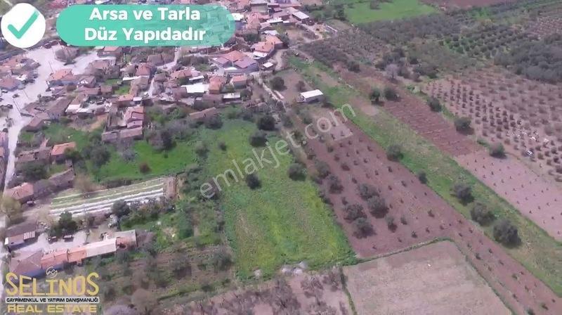 İmarlı 4800 M2 Çiftlik Arazisi — fotoğraf 7
