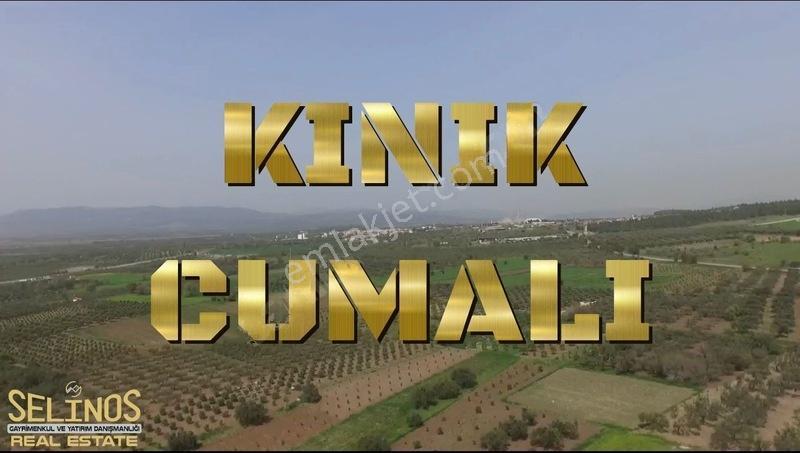 İmarlı 4800 M2 Çiftlik Arazisi — fotoğraf 11