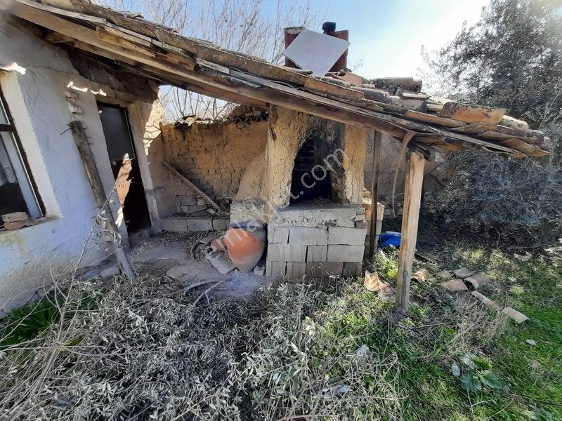 İmarlı 4800 M2 Çiftlik Arazisi — fotoğraf 13