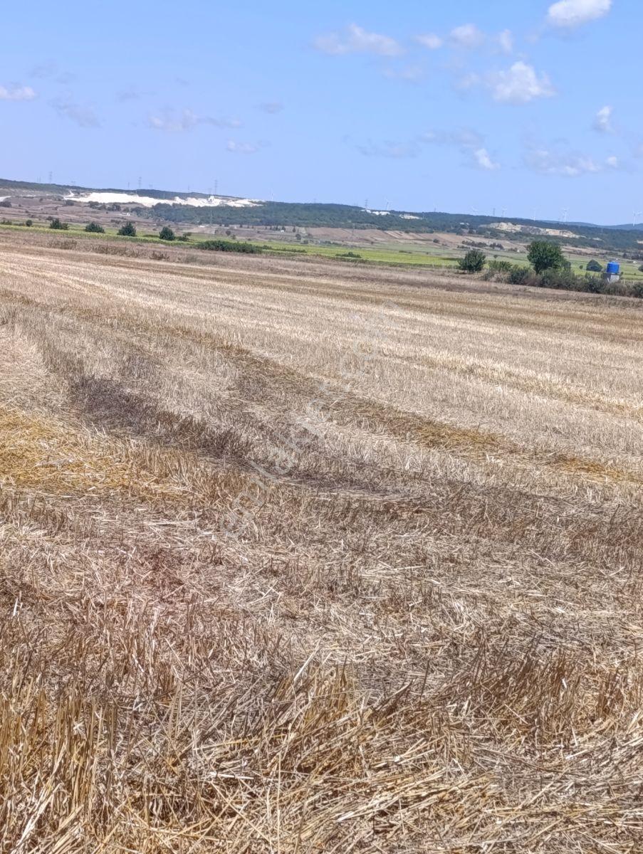 Saray Merkeze 5 Dk Fırsat 1100 Metrekare — fotoğraf 6