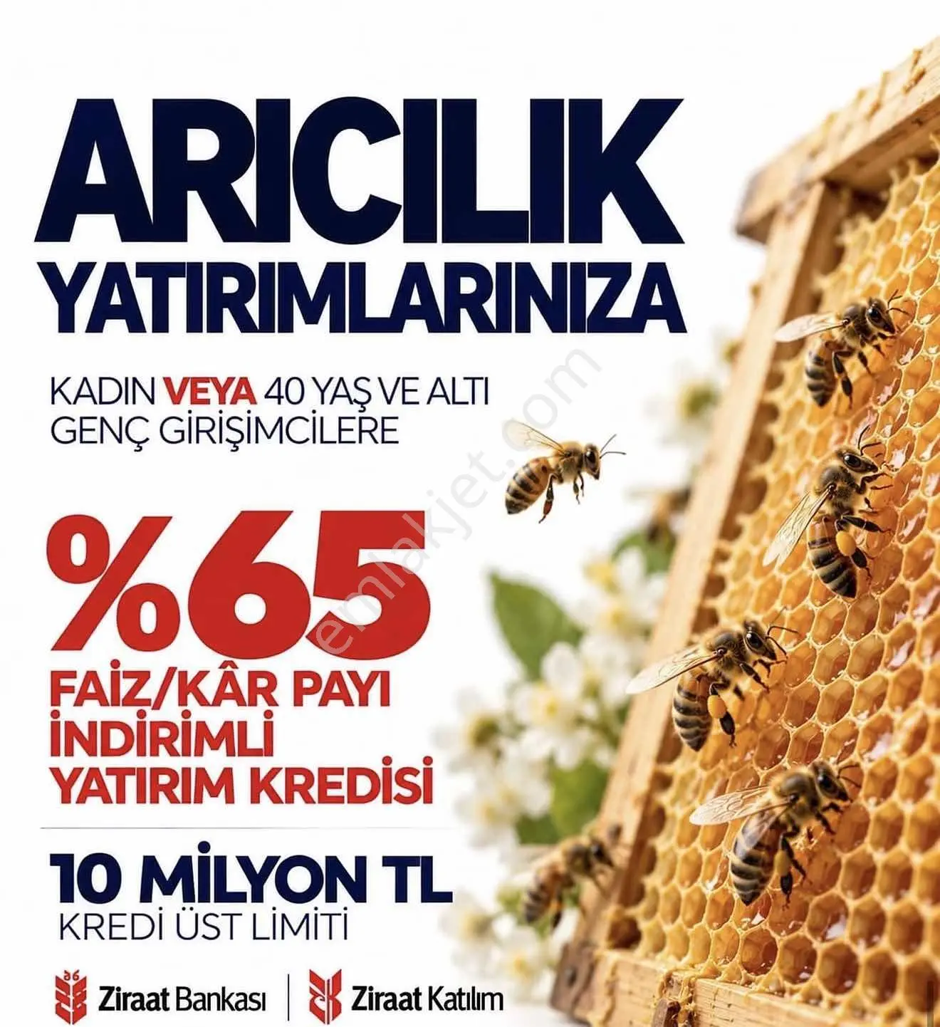 Milas Bodrum Yoluna Yakın Hibe Ve Faizsiz Kredi İle Alınabilir — fotoğraf 5
