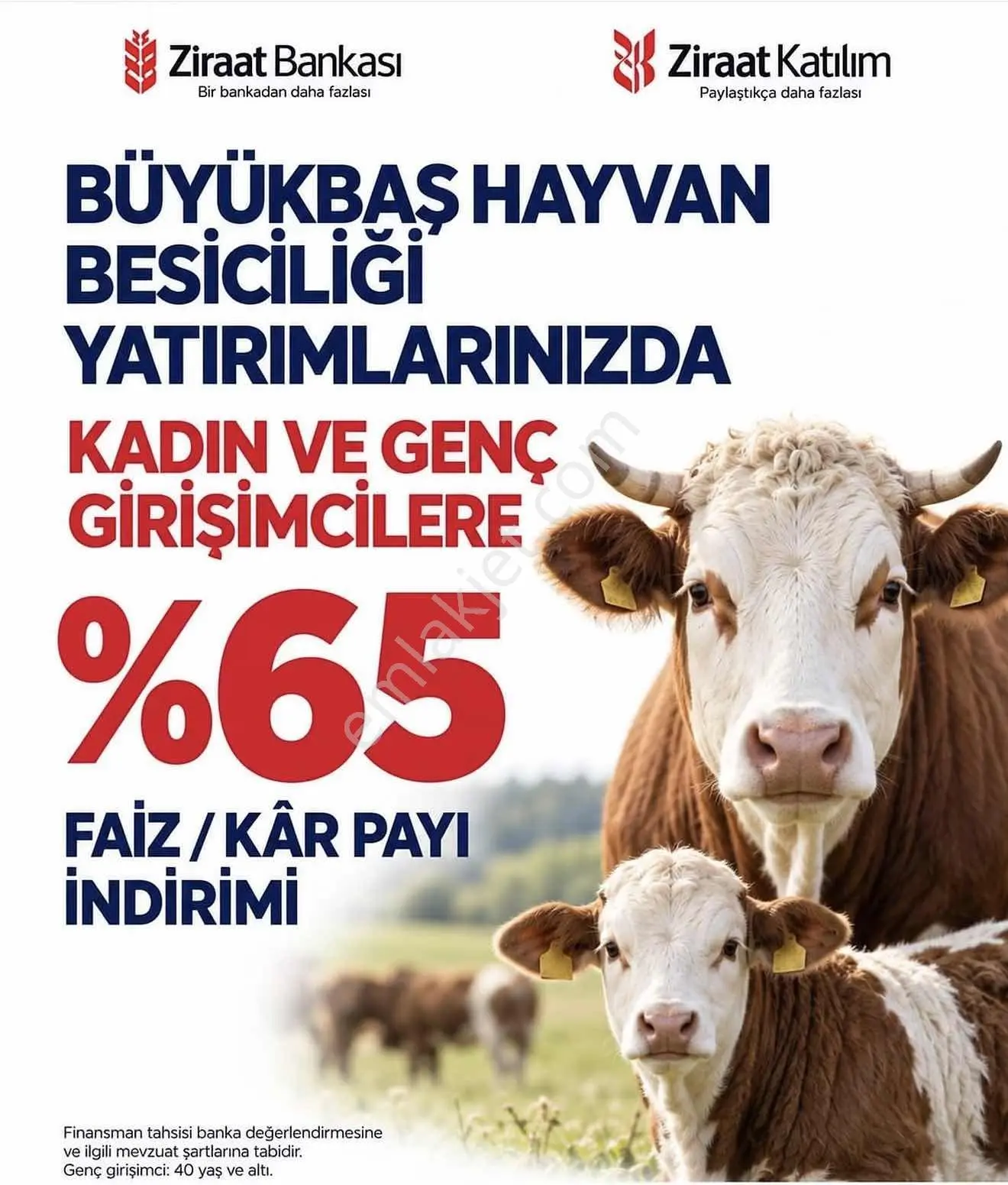 Milas Bodrum Yoluna Yakın Hibe Ve Faizsiz Kredi İle Alınabilir — fotoğraf 6