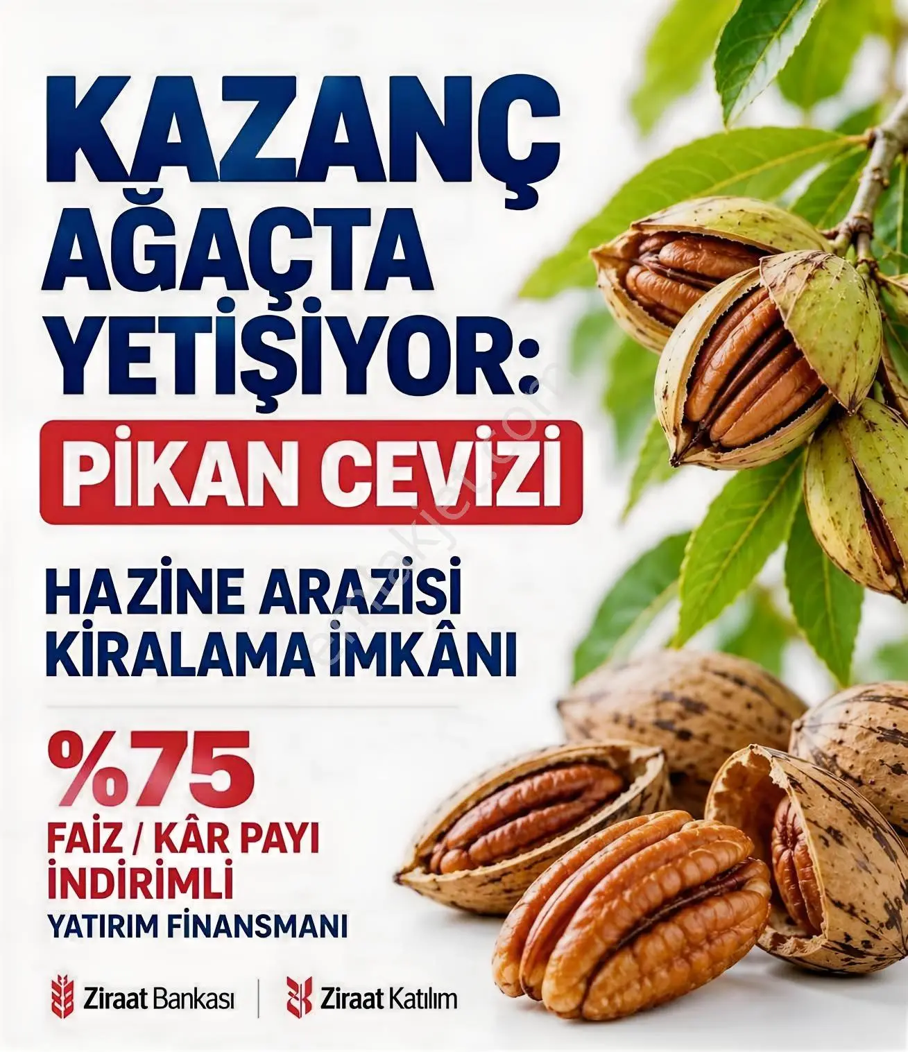 Milas Bodrum Yoluna Yakın Hibe Ve Faizsiz Kredi İle Alınabilir — fotoğraf 7