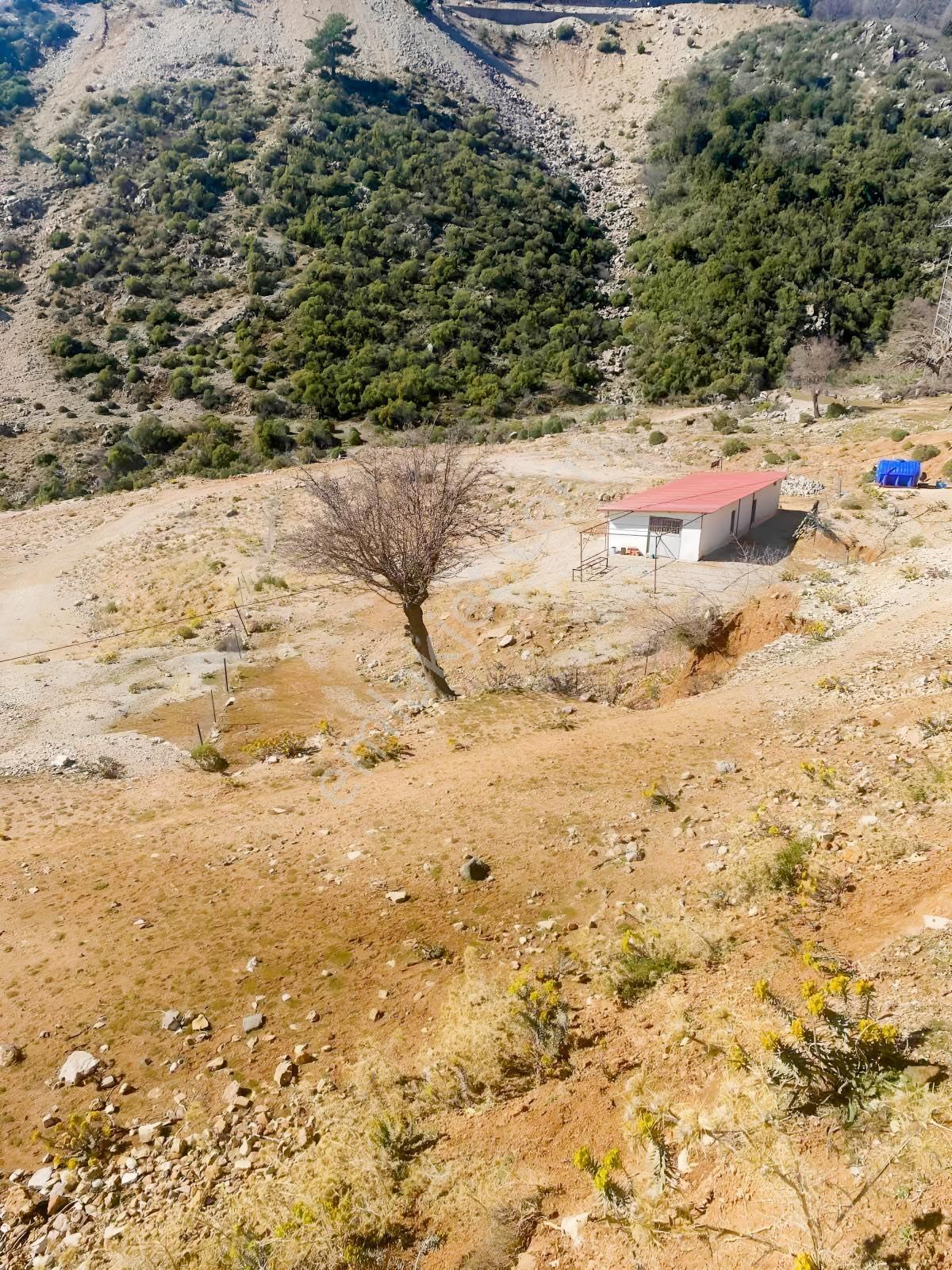 Fethiye İncirköy Köyde Satıılık Müstakil Arsa Ve Yapı — fotoğraf 11
