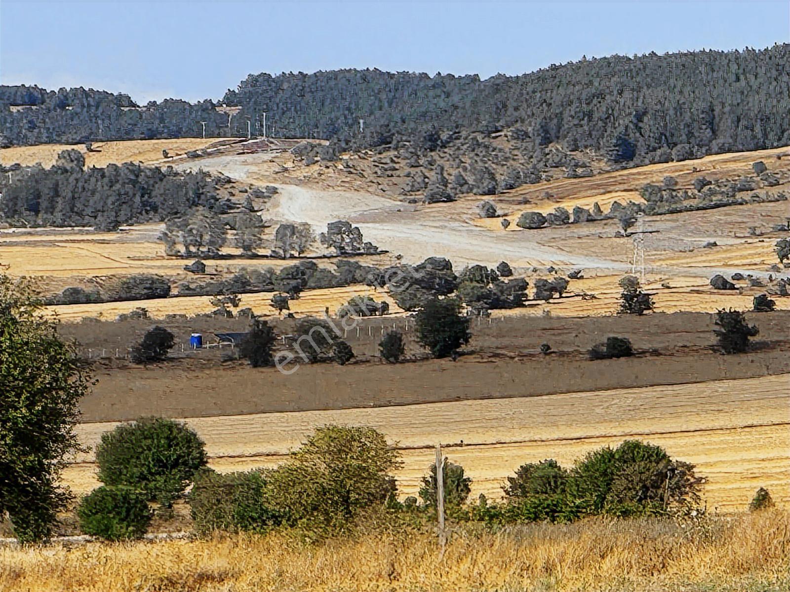 Kastamonu Merkez Şeyh Köyü 10.035 M2 Tek Tapu Fırsat Mülk — fotoğraf 22