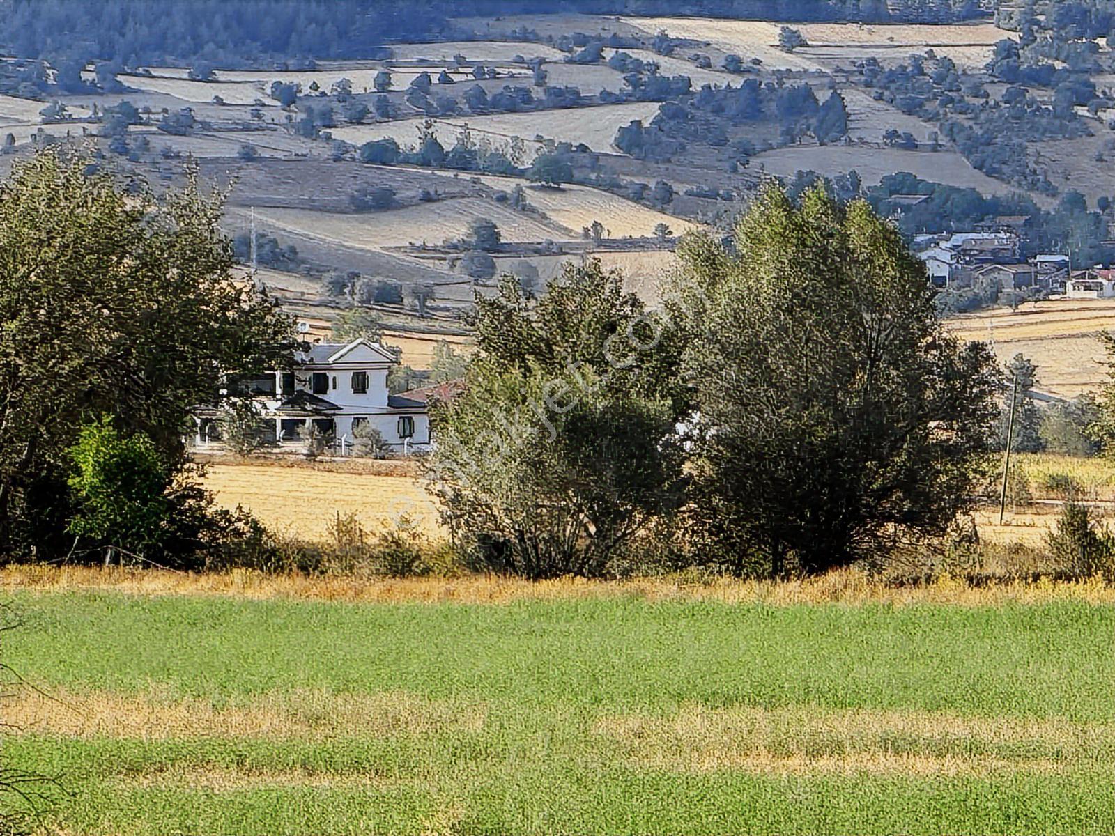 Kastamonu Merkez Şeyh Köyü 10.035 M2 Tek Tapu Fırsat Mülk — fotoğraf 24
