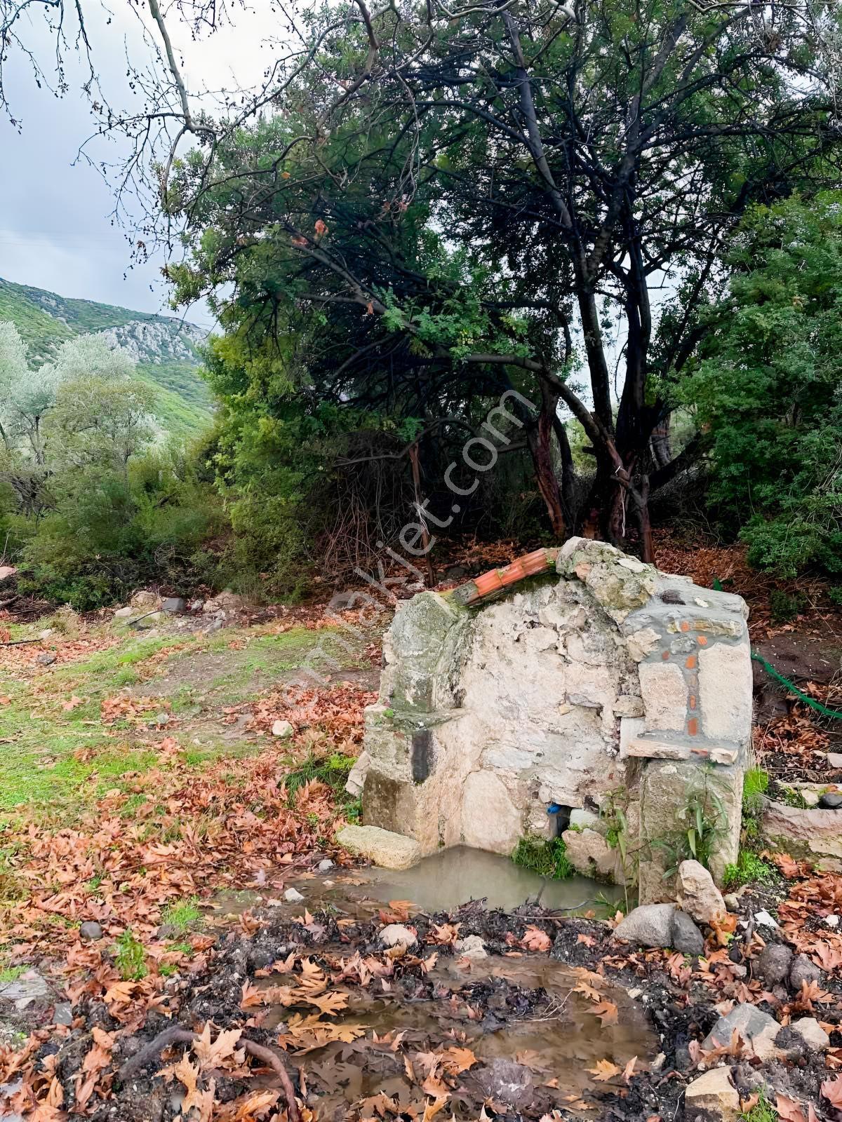 Karaburun Amberseki Köyün'de Deniz Manzaralı Satılık Tarla — fotoğraf 2