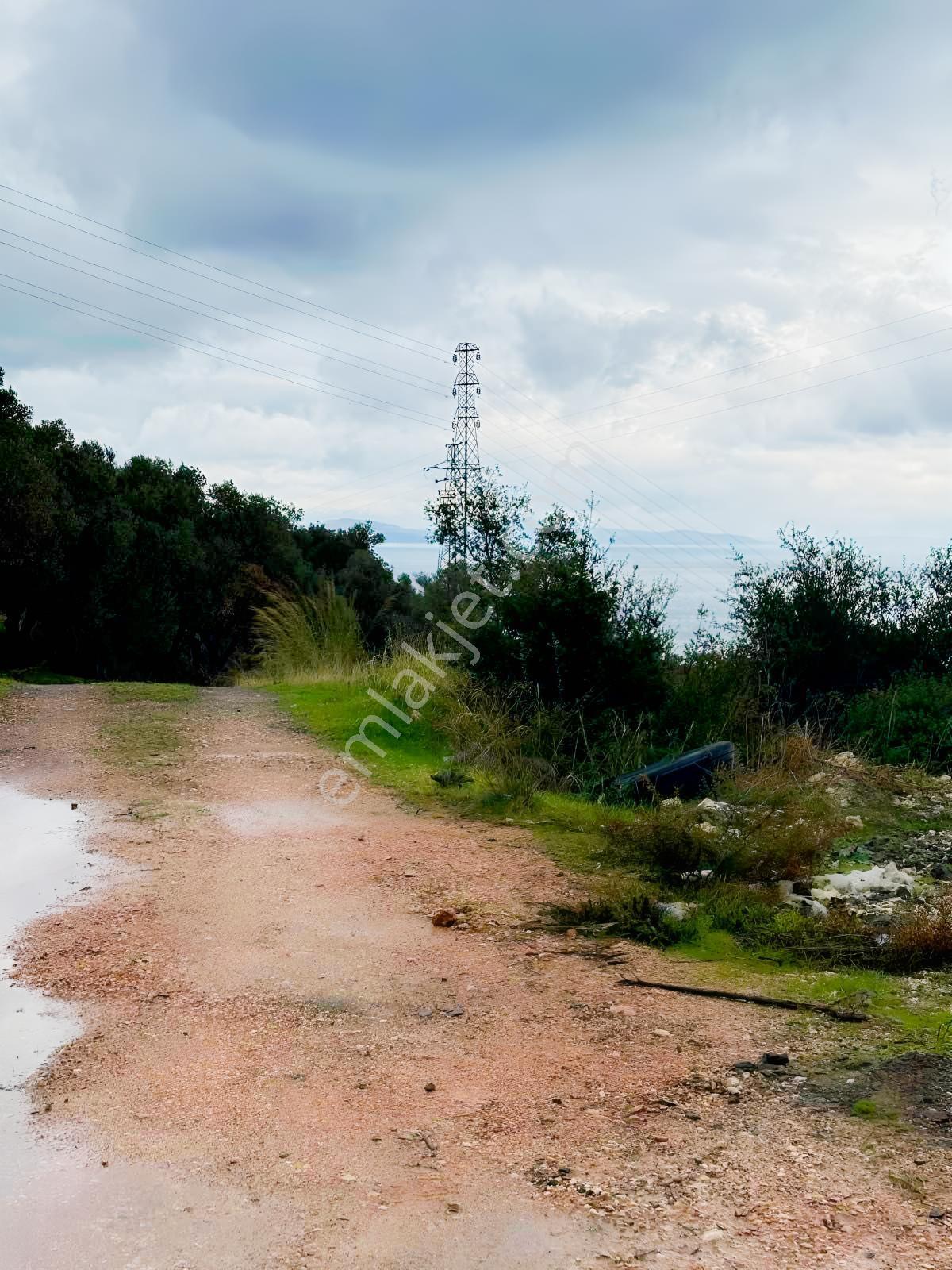 Karaburun Amberseki Köyün'de Deniz Manzaralı Satılık Tarla — fotoğraf 3