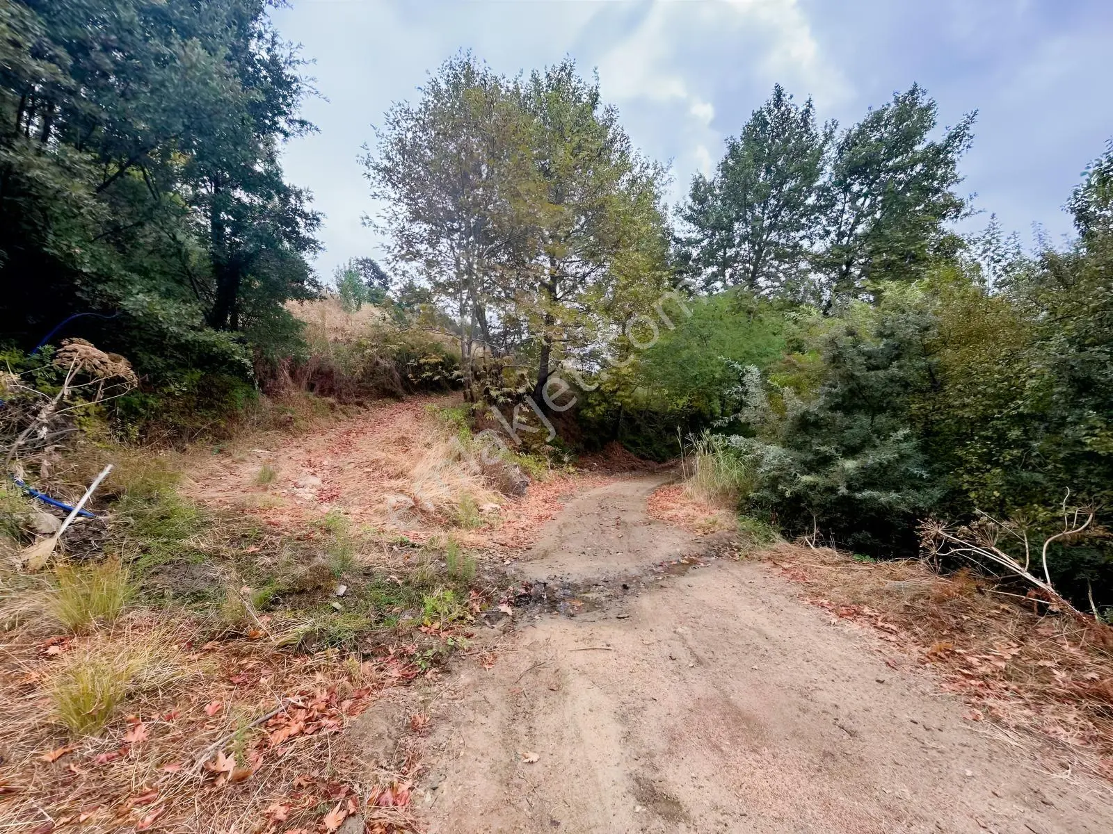 Çınardibi Köyünde Uygun Bahçe