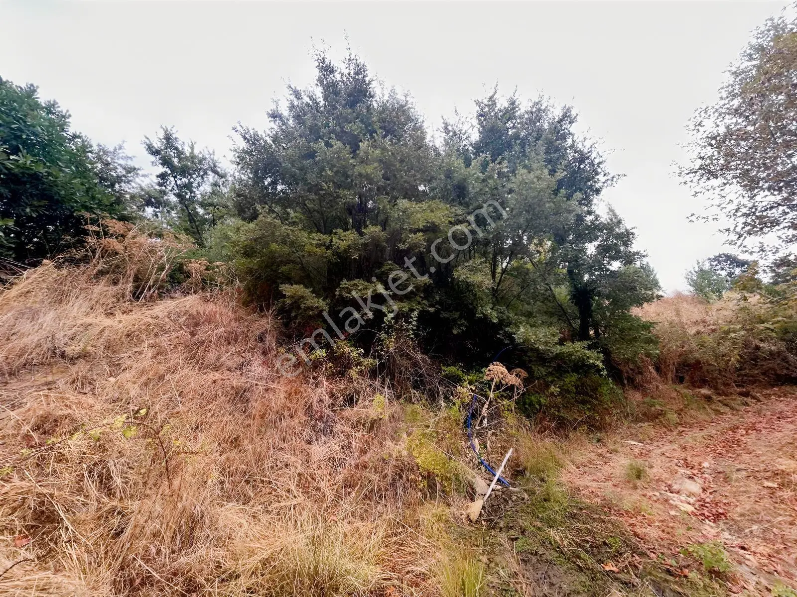 Çınardibi Köyünde Uygun Bahçe — fotoğraf 2