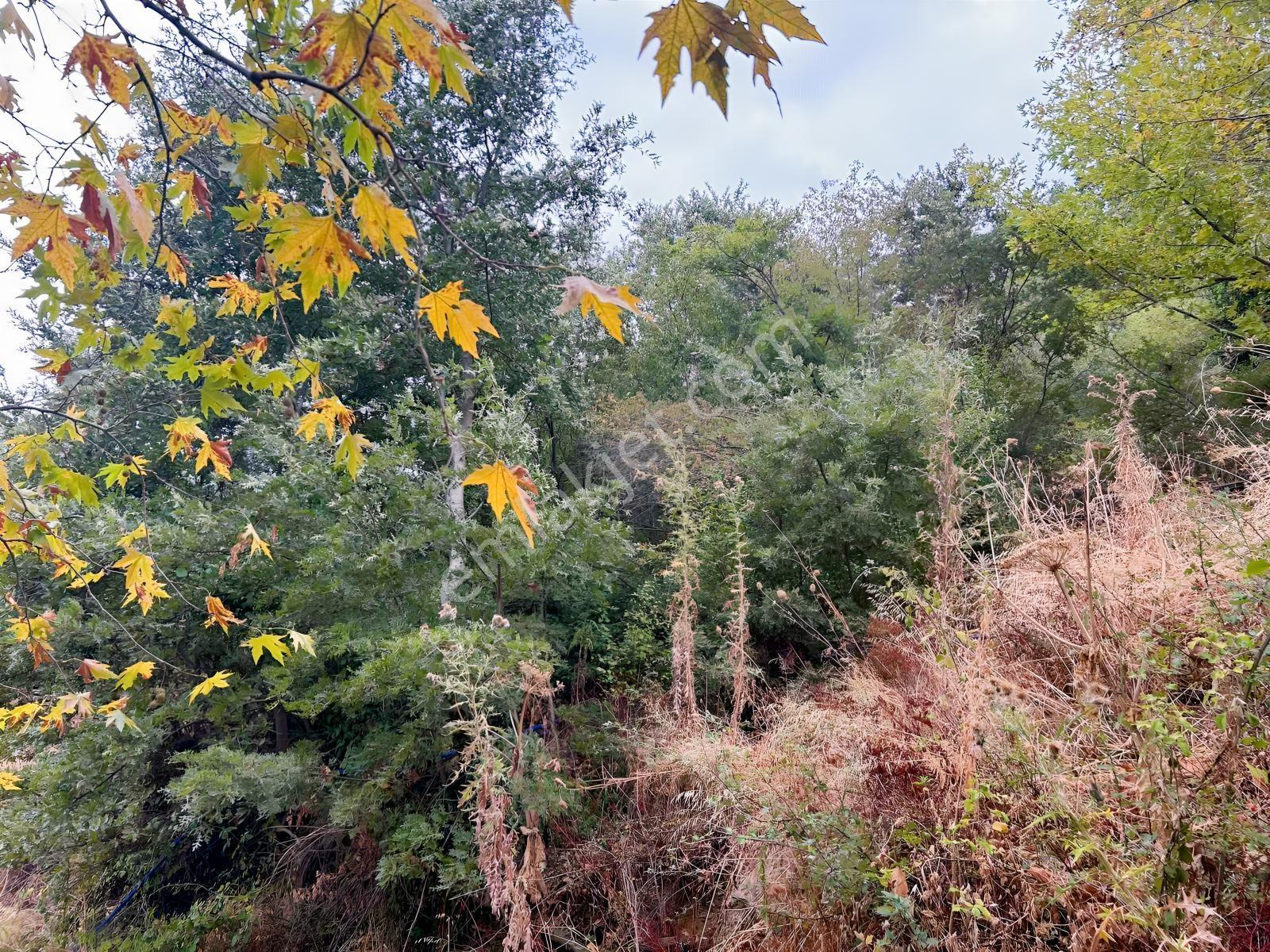 Çınardibi Köyünde Uygun Bahçe — fotoğraf 3