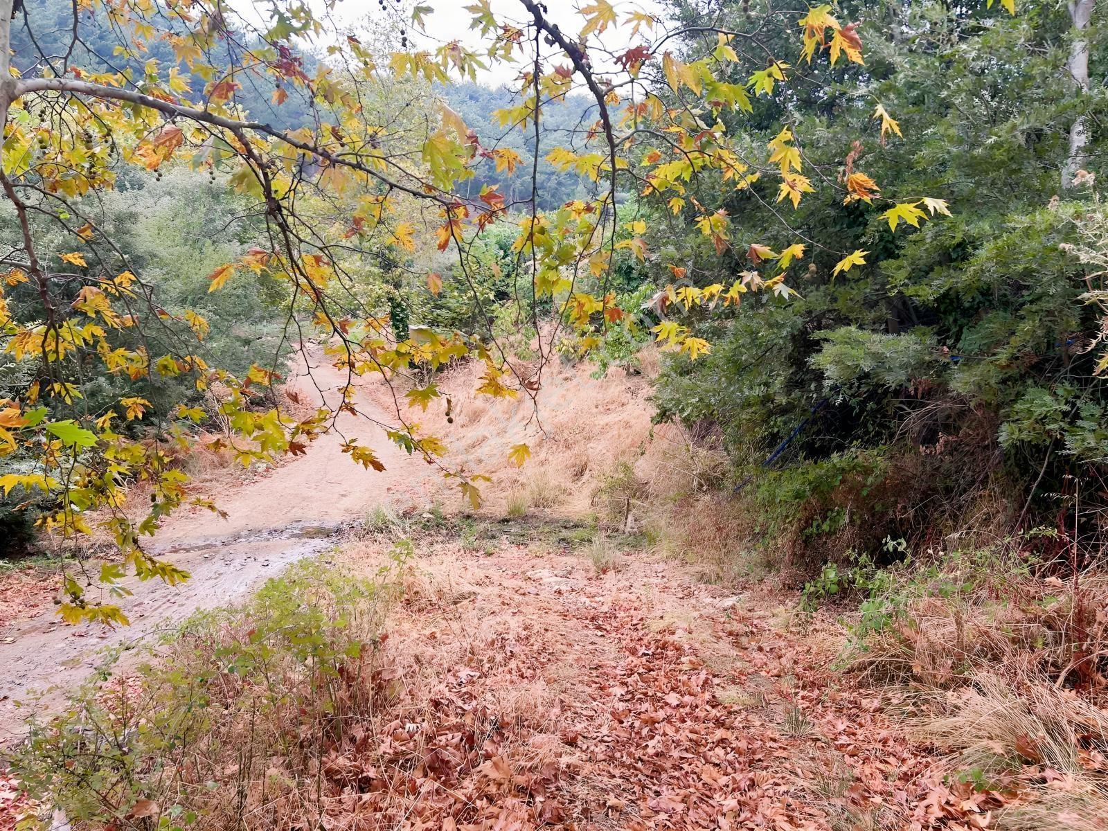 Çınardibi Köyünde Uygun Bahçe — fotoğraf 4
