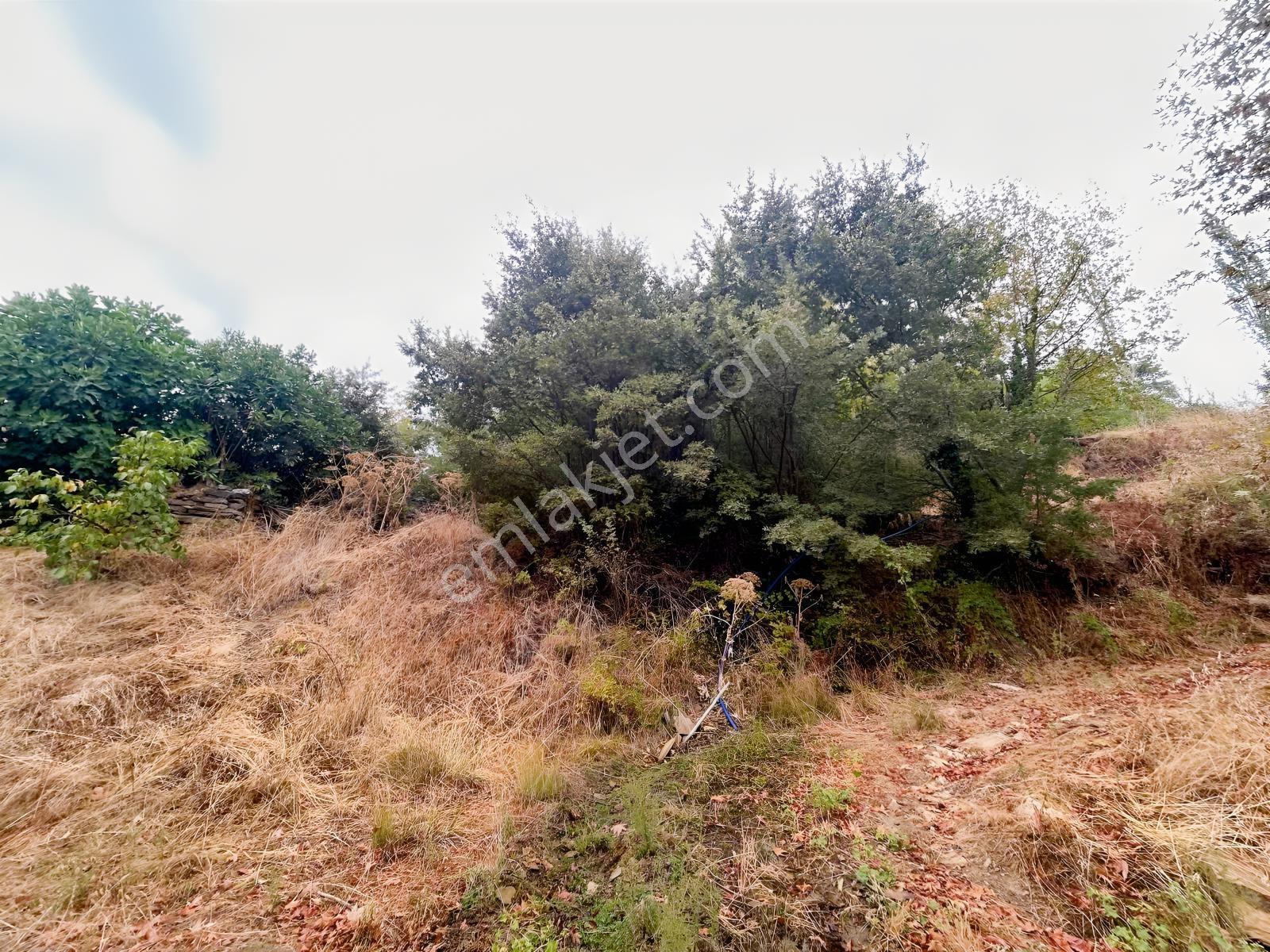 Çınardibi Köyünde Uygun Bahçe — fotoğraf 5