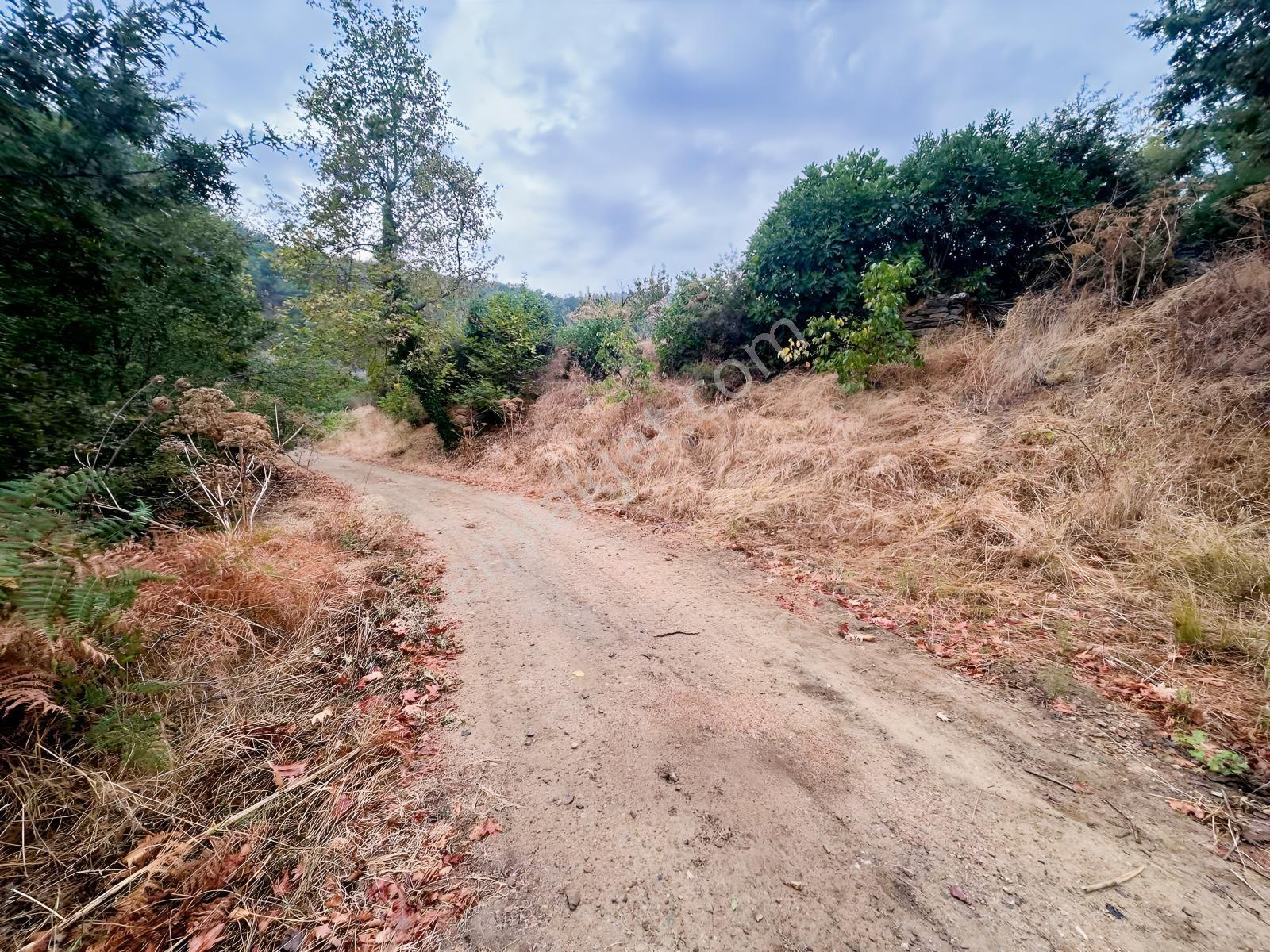 Çınardibi Köyünde Uygun Bahçe — fotoğraf 6