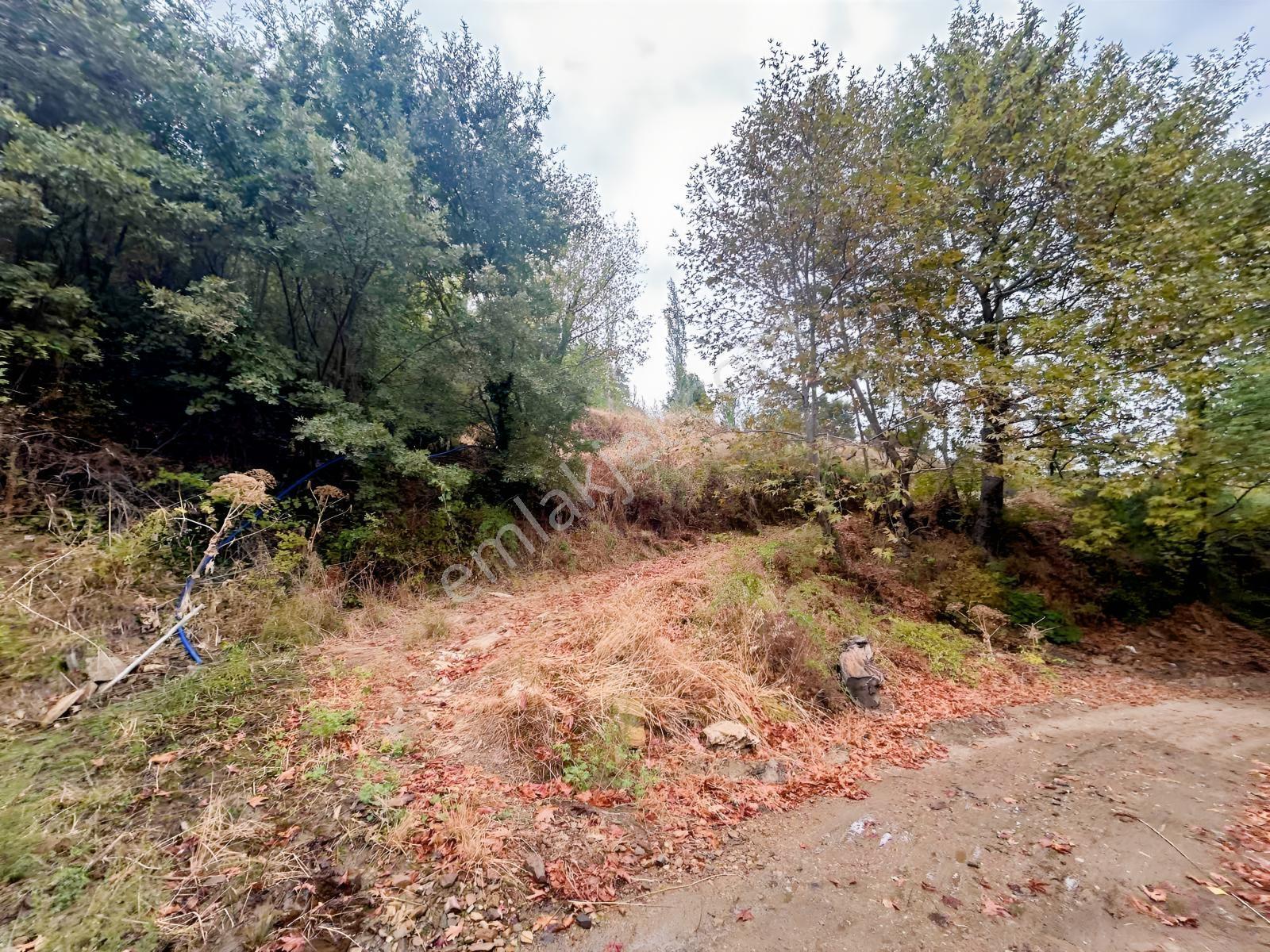 Çınardibi Köyünde Uygun Bahçe — fotoğraf 8