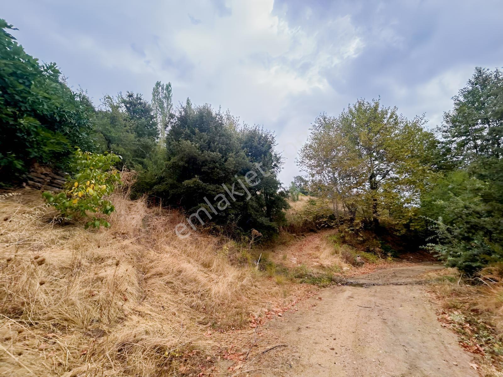 Çınardibi Köyünde Uygun Bahçe — fotoğraf 9