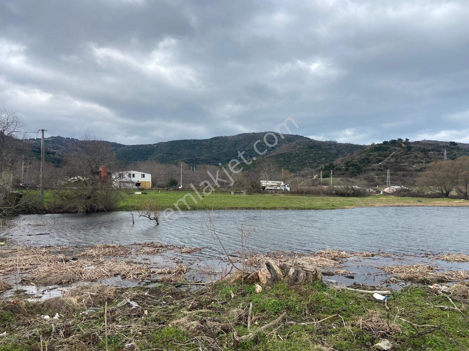Erdek Karşıyada 3412 M Zeytinlik — fotoğraf 8
