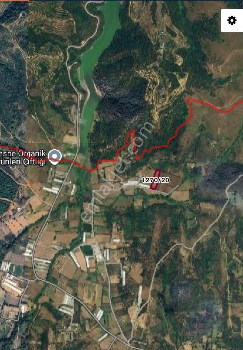 Erdek Karşıyada 3412 M Zeytinlik — fotoğraf 10