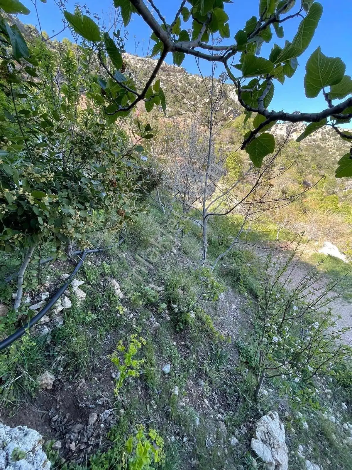 Erdemli Karahıdırlı'da Müstakil Daire 385 M2 Deniz Manzaralı Ev — fotoğraf 11