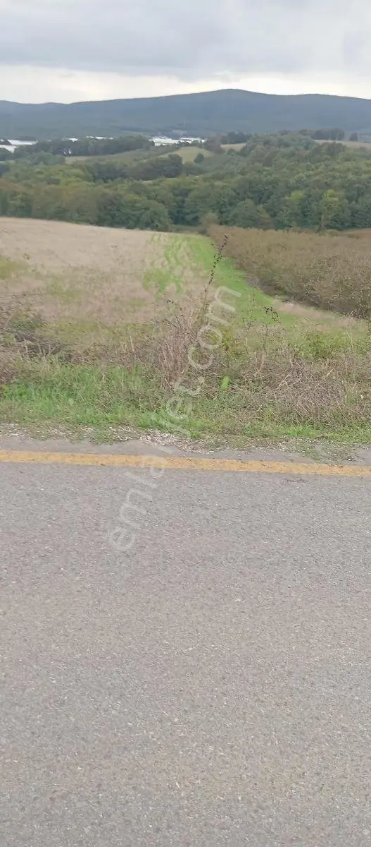 Kaynarca Okçularda Satılık Arazi Kaçırılmayacak Fırsat! — fotoğraf 3