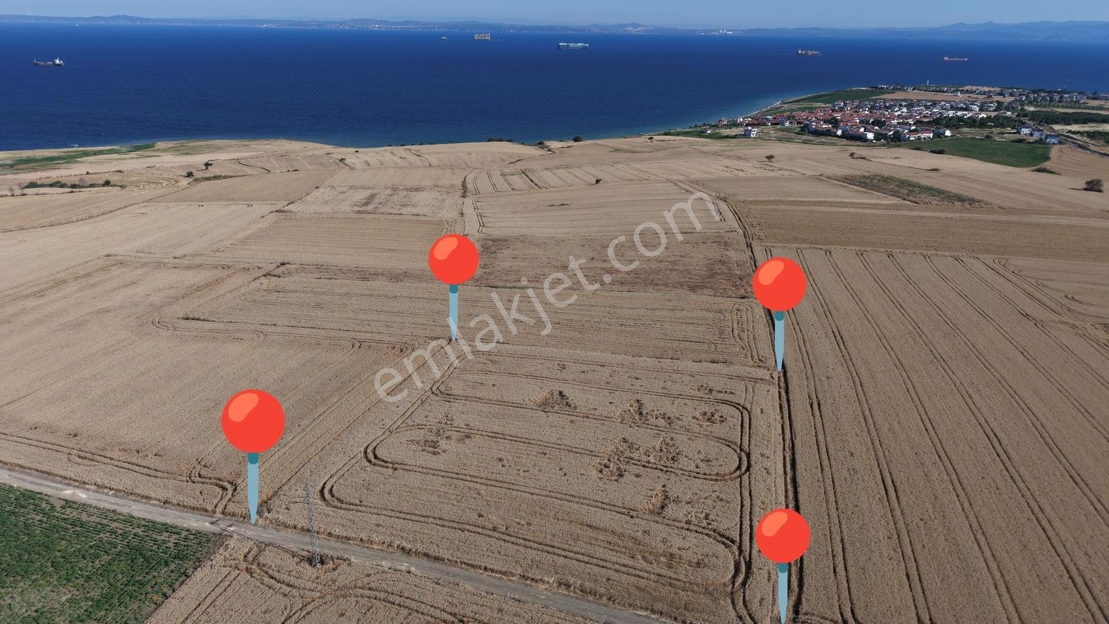 Nuhoğlu 'ndan Satılık 6.798 M2 Yola Cephe Deniz Manzaralı Tarla — fotoğraf 2