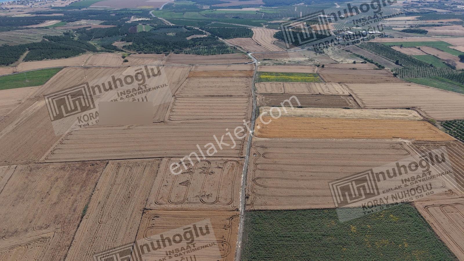 Nuhoğlu 'ndan Satılık 6.798 M2 Yola Cephe Deniz Manzaralı Tarla — fotoğraf 14