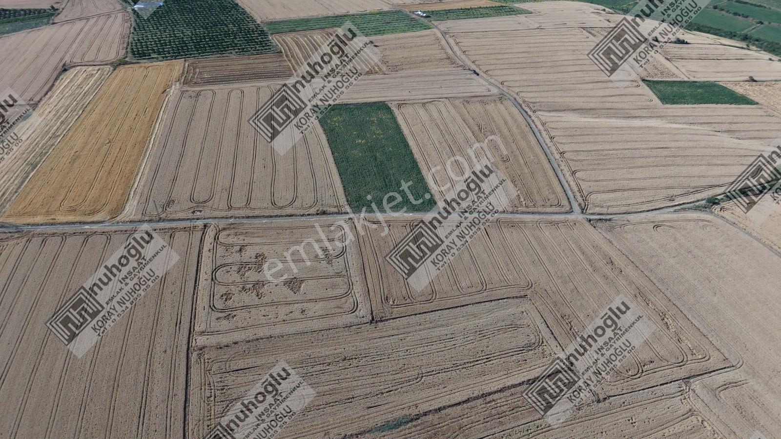 Nuhoğlu 'ndan Satılık 6.798 M2 Yola Cephe Deniz Manzaralı Tarla — fotoğraf 16