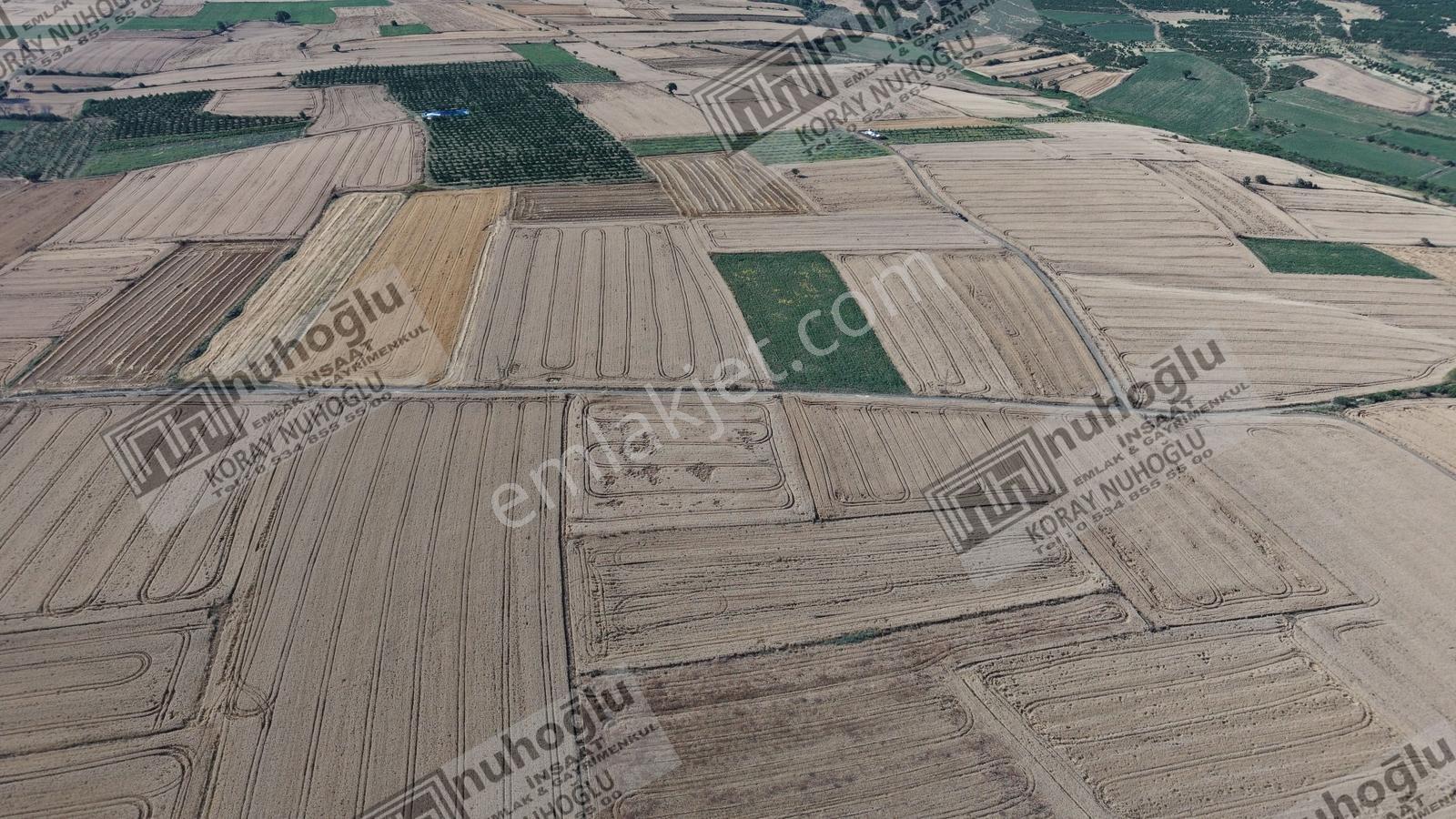 Nuhoğlu 'ndan Satılık 6.798 M2 Yola Cephe Deniz Manzaralı Tarla — fotoğraf 18