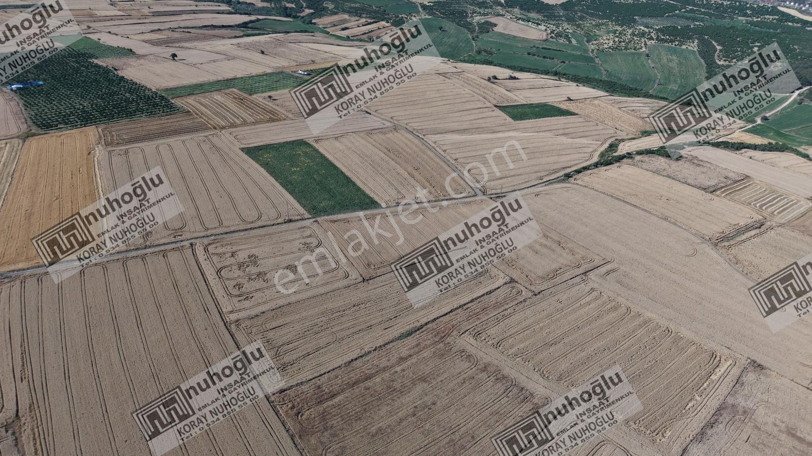Nuhoğlu 'ndan Satılık 6.798 M2 Yola Cephe Deniz Manzaralı Tarla — fotoğraf 20