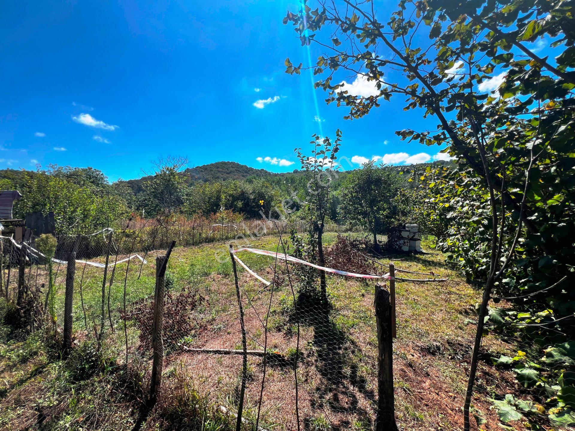 Şile Açmalar Mevkii Denize 3 Km Ağaçları Olan 191m2 Satılık Arsa — fotoğraf 4