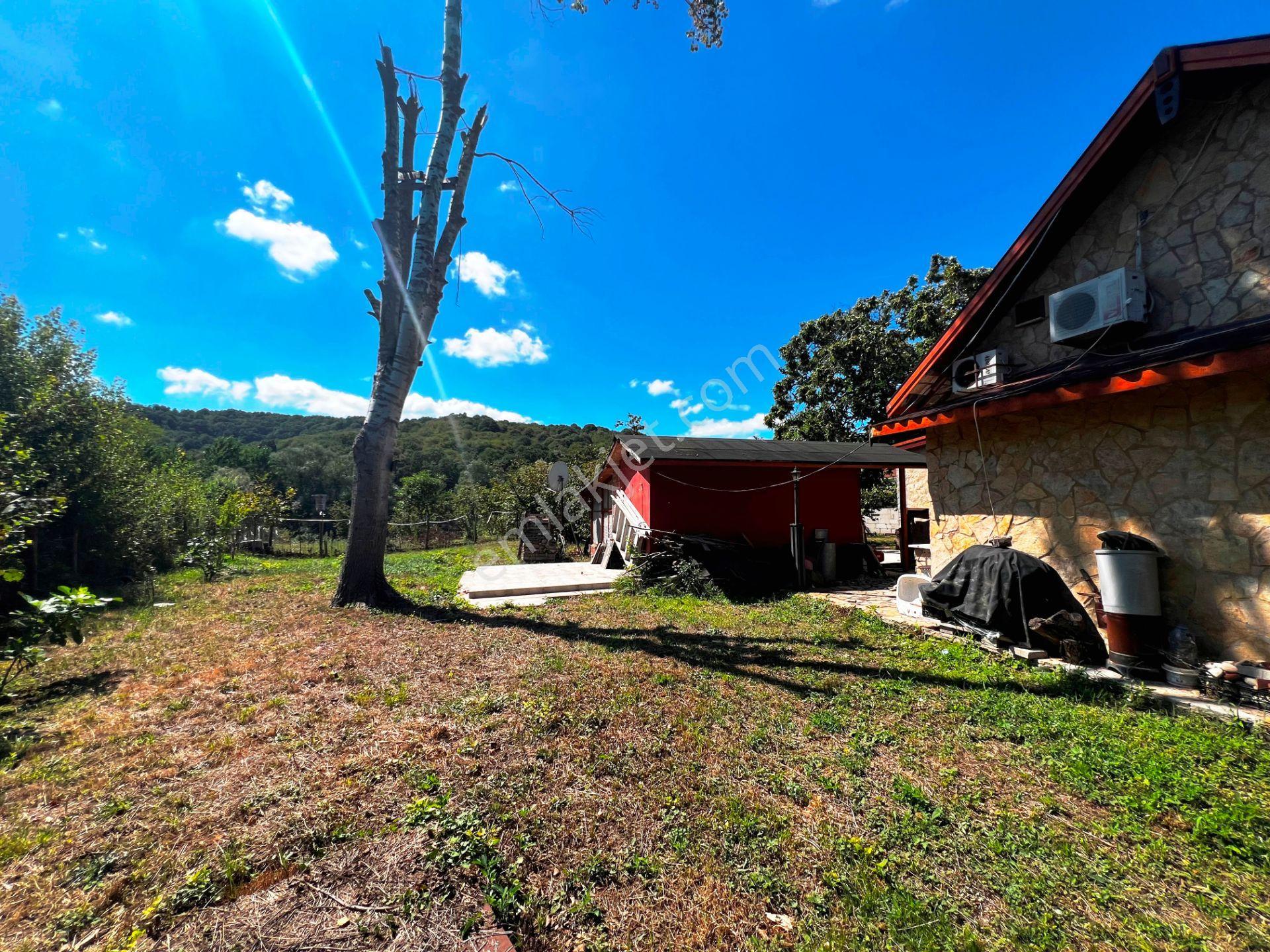 Şile Açmalar Mevkii Denize 3 Km Ağaçları Olan 191m2 Satılık Arsa — fotoğraf 15