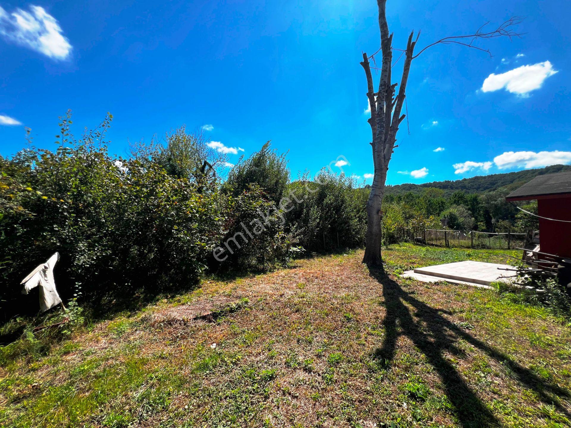 Şile Açmalar Mevkii Denize 3 Km Ağaçları Olan 191m2 Satılık Arsa — fotoğraf 17