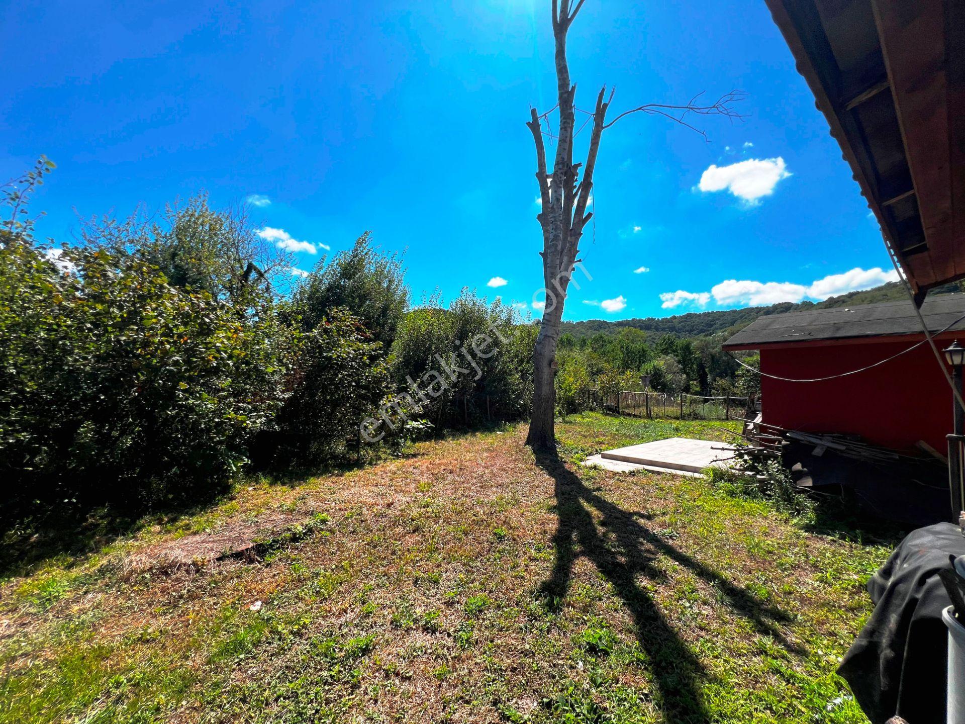 Şile Açmalar Mevkii Denize 3 Km Ağaçları Olan 191m2 Satılık Arsa — fotoğraf 18