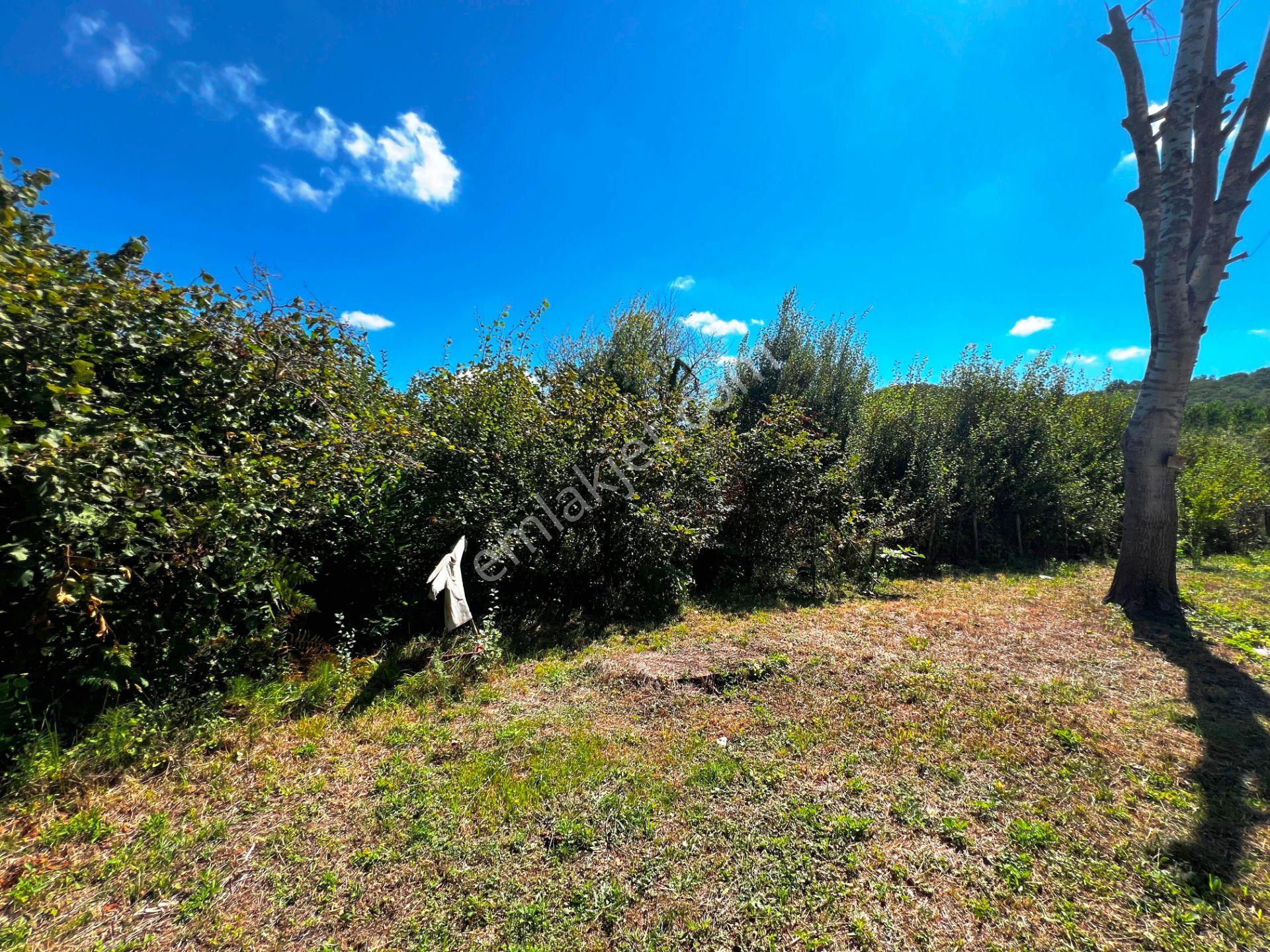 Şile Açmalar Mevkii Denize 3 Km Ağaçları Olan 191m2 Satılık Arsa — fotoğraf 20